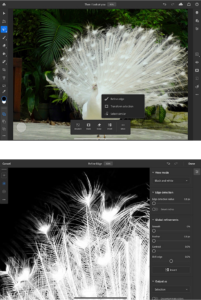 Adobe introducerer ny Photoshop-funktion til iPad