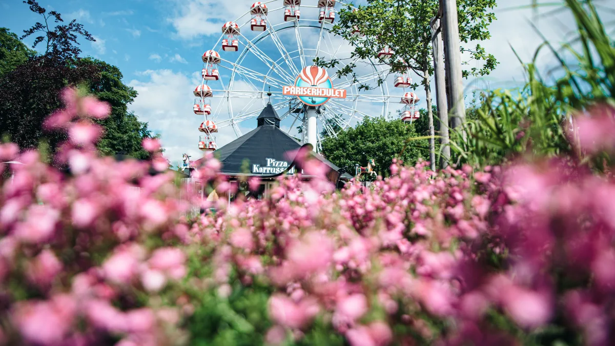 Tivoli Frihedens Blomsterfestival er en publikumssucces: forlænger til resten af skoleferien