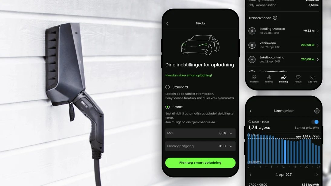 Alt-i-én-løsning gør det billigt at være elbilist