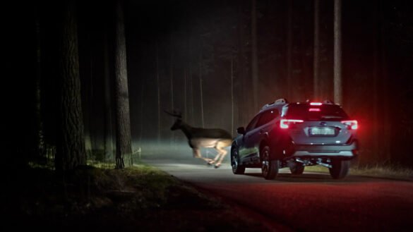 Automatisk nødbremse udfordres i mørke – Subaru klarer sig bedst i test