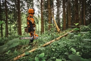 Batteridrift, digitalisering og AI former fremtiden for sektorer indenfor skovdrift og grønne områder