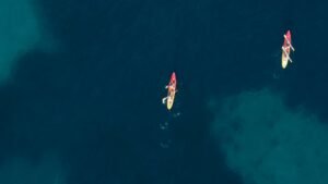 It branchen slaar rekord og loeber fra MyNewsdesk sdfesfesfs