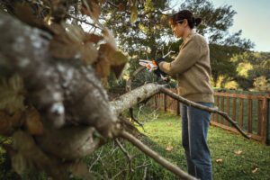 Kompakt nyhed til havens mindre projekter – STIHL lancerer batterihåndsaven GTA 20